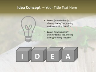 Wilderness Bright Sitting PowerPoint Template