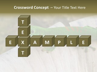 Wilderness Bright Sitting PowerPoint Template