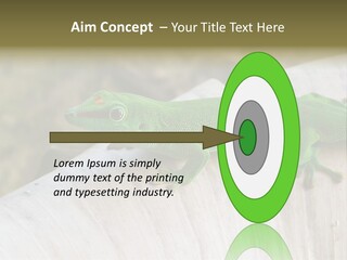 Wilderness Bright Sitting PowerPoint Template