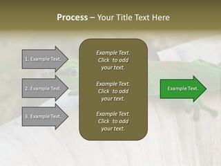 Wilderness Bright Sitting PowerPoint Template
