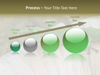Wilderness Bright Sitting PowerPoint Template