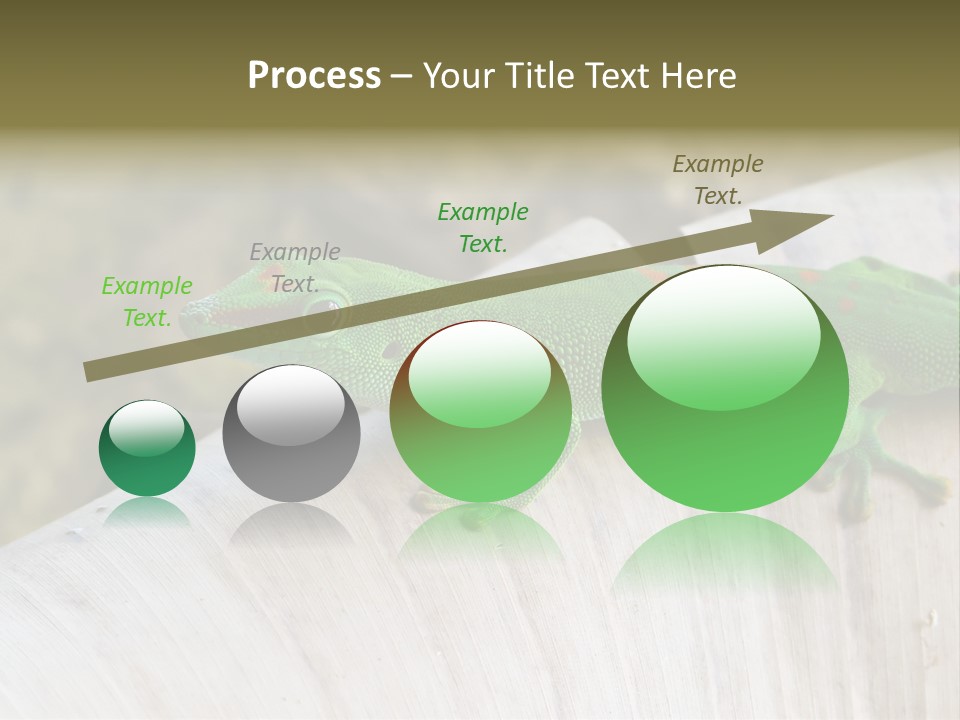 Wilderness Bright Sitting PowerPoint Template