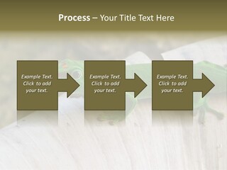 Wilderness Bright Sitting PowerPoint Template