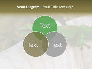 Wilderness Bright Sitting PowerPoint Template