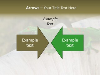 Wilderness Bright Sitting PowerPoint Template