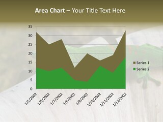 Wilderness Bright Sitting PowerPoint Template