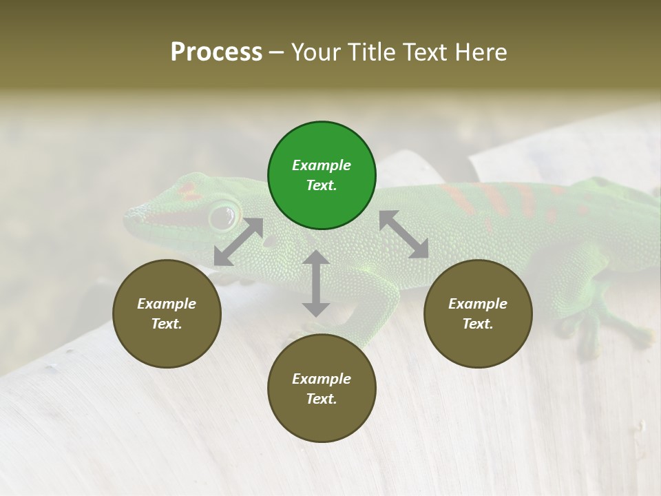 Wilderness Bright Sitting PowerPoint Template
