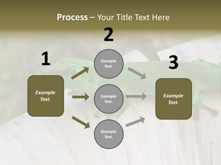 Wilderness Bright Sitting PowerPoint Template