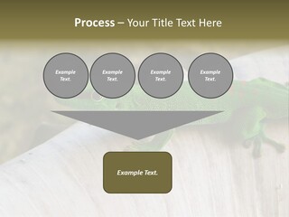 Wilderness Bright Sitting PowerPoint Template