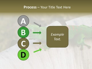Wilderness Bright Sitting PowerPoint Template