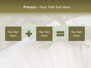 Wilderness Bright Sitting PowerPoint Template