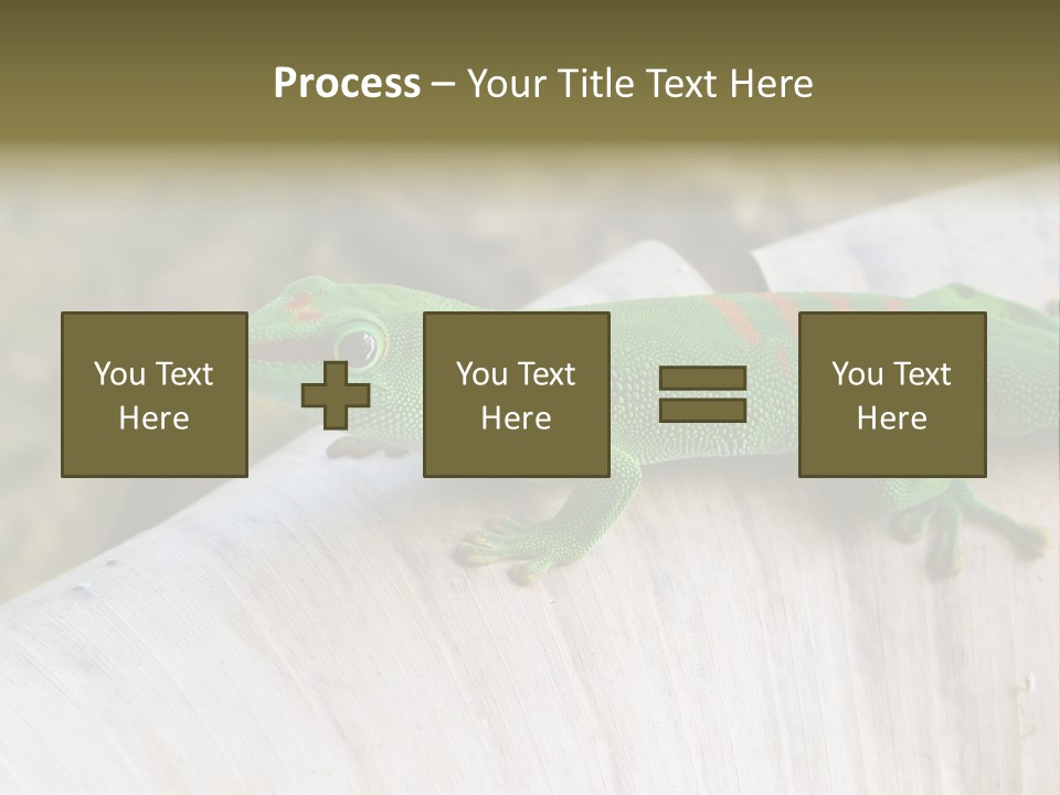 Wilderness Bright Sitting PowerPoint Template