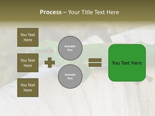 Wilderness Bright Sitting PowerPoint Template
