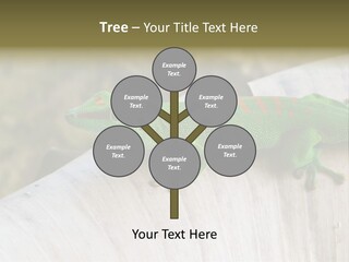 Wilderness Bright Sitting PowerPoint Template