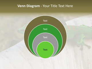 Wilderness Bright Sitting PowerPoint Template