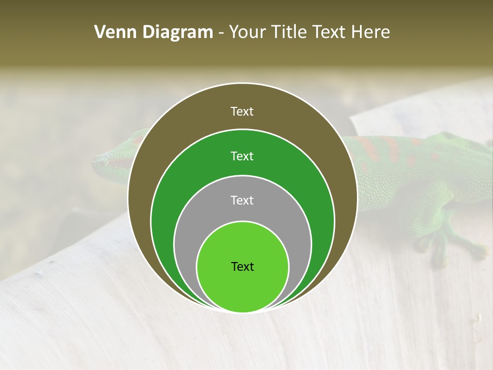 Wilderness Bright Sitting PowerPoint Template