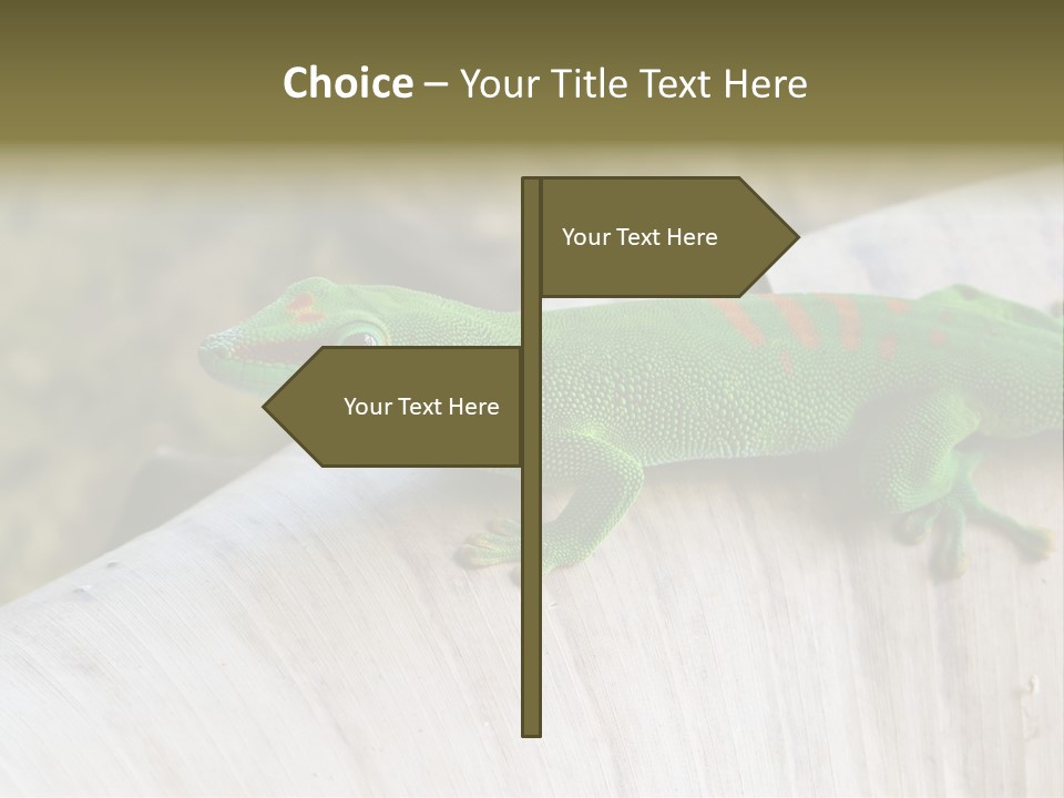 Wilderness Bright Sitting PowerPoint Template