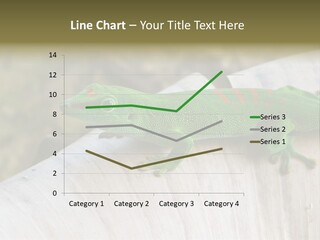 Wilderness Bright Sitting PowerPoint Template