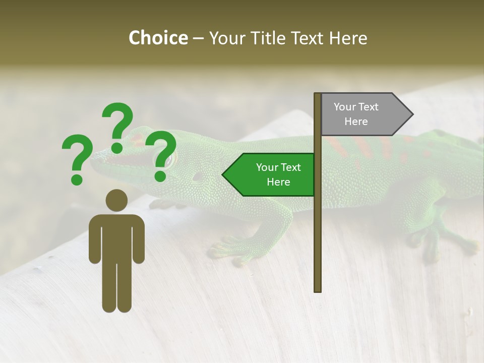 Wilderness Bright Sitting PowerPoint Template