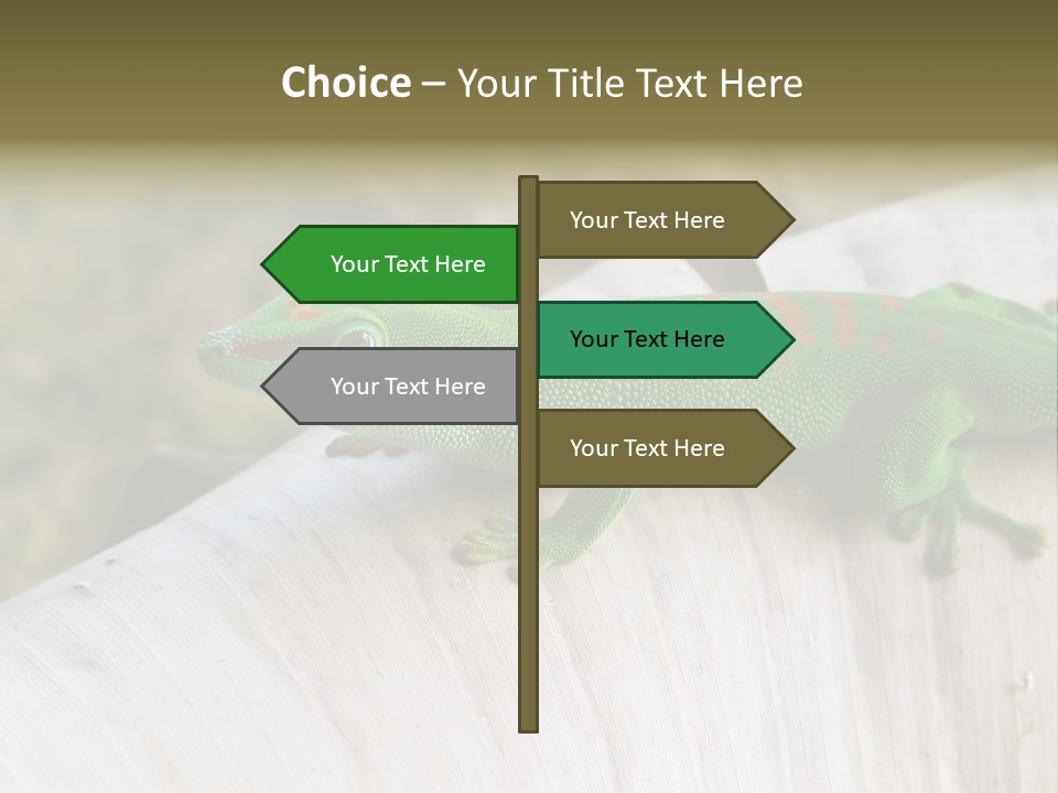 Wilderness Bright Sitting PowerPoint Template