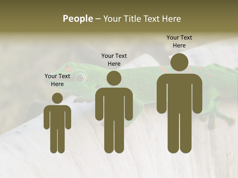 Wilderness Bright Sitting PowerPoint Template