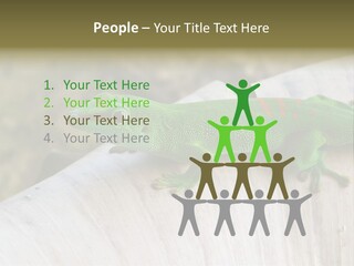 Wilderness Bright Sitting PowerPoint Template