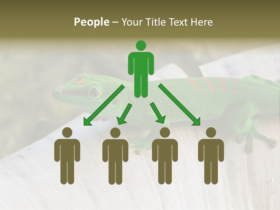 Wilderness Bright Sitting PowerPoint Template