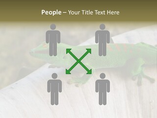 Wilderness Bright Sitting PowerPoint Template