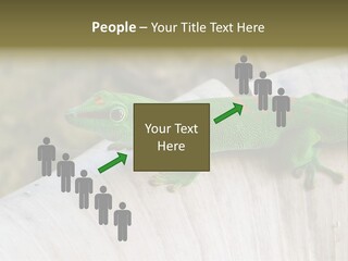 Wilderness Bright Sitting PowerPoint Template