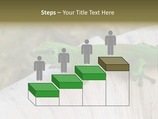 Wilderness Bright Sitting PowerPoint Template