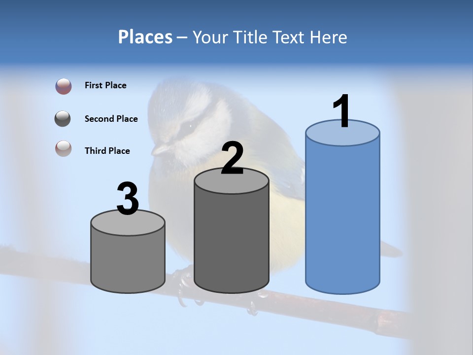 Object Great Small PowerPoint Template