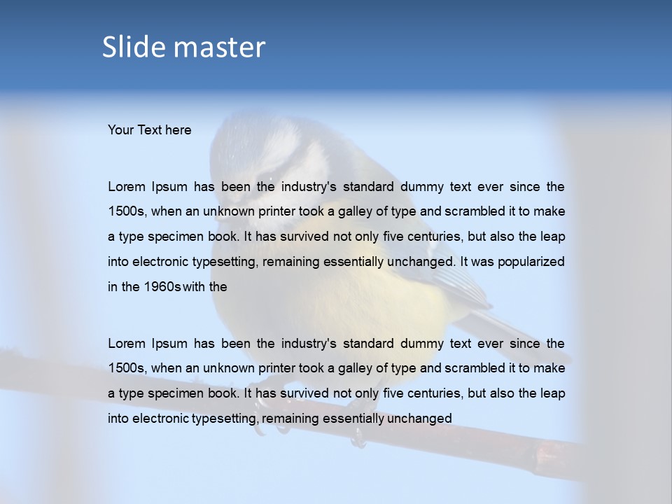 Object Great Small PowerPoint Template