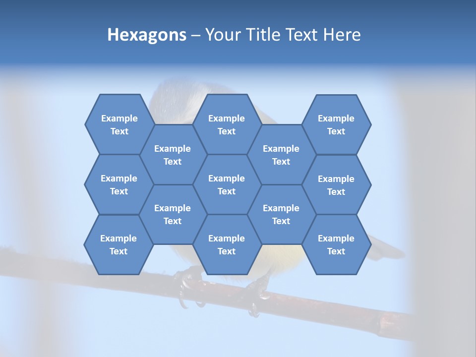 Object Great Small PowerPoint Template