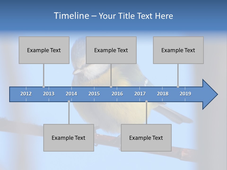 Object Great Small PowerPoint Template