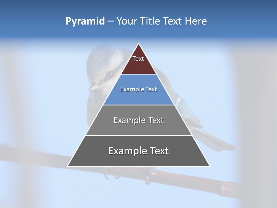 Object Great Small PowerPoint Template