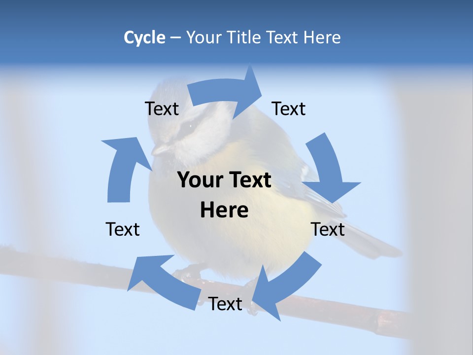 Object Great Small PowerPoint Template