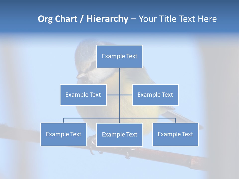 Object Great Small PowerPoint Template