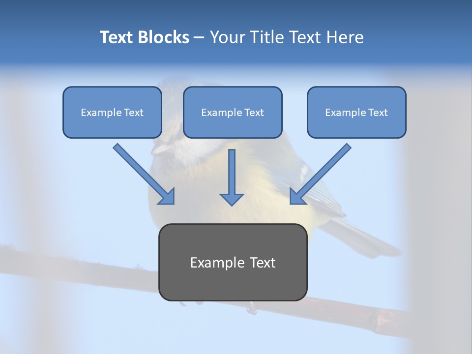 Object Great Small PowerPoint Template