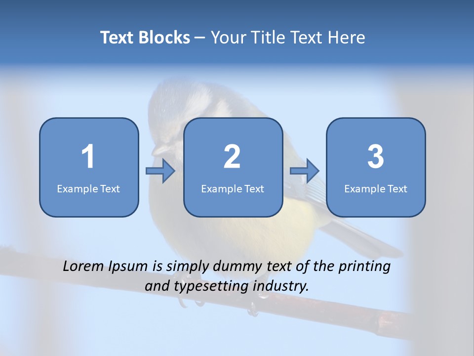 Object Great Small PowerPoint Template