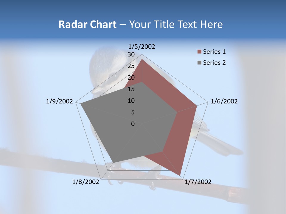 Object Great Small PowerPoint Template