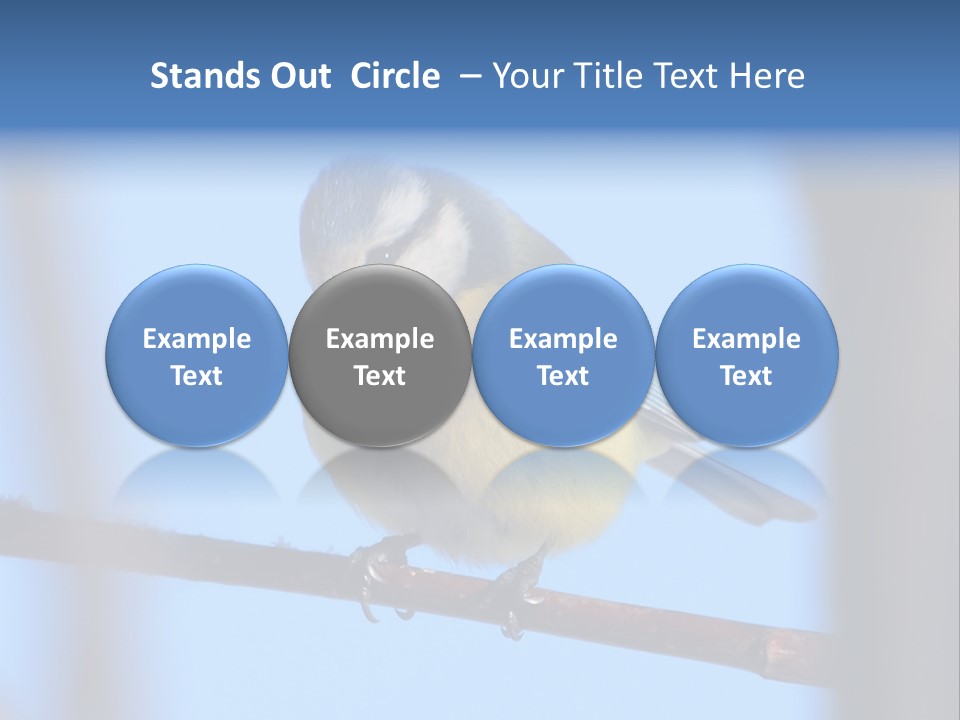 Object Great Small PowerPoint Template