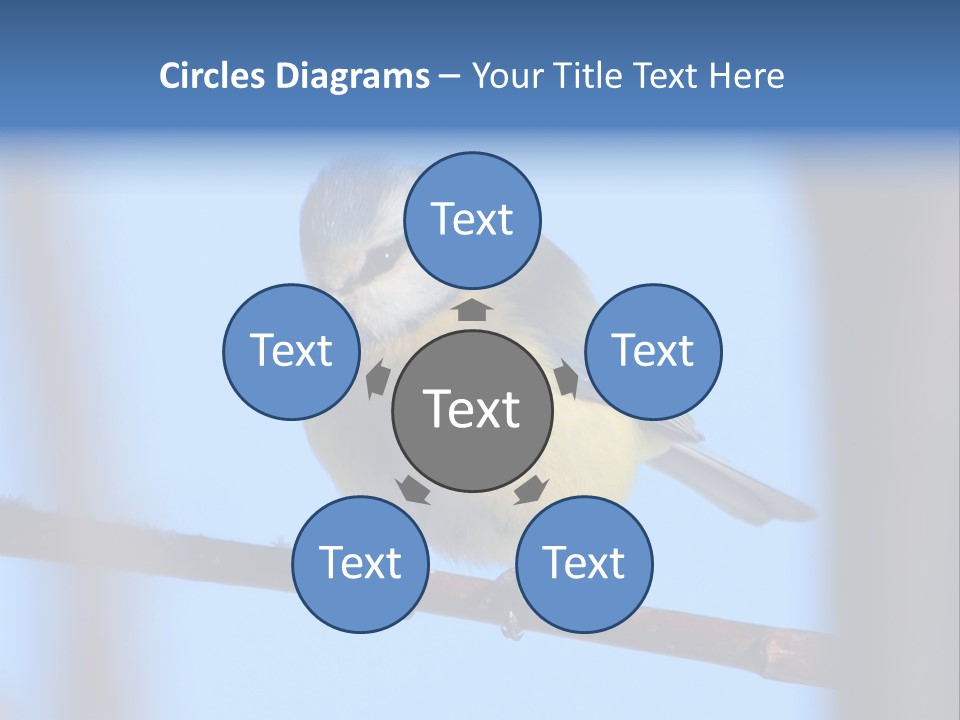 Object Great Small PowerPoint Template