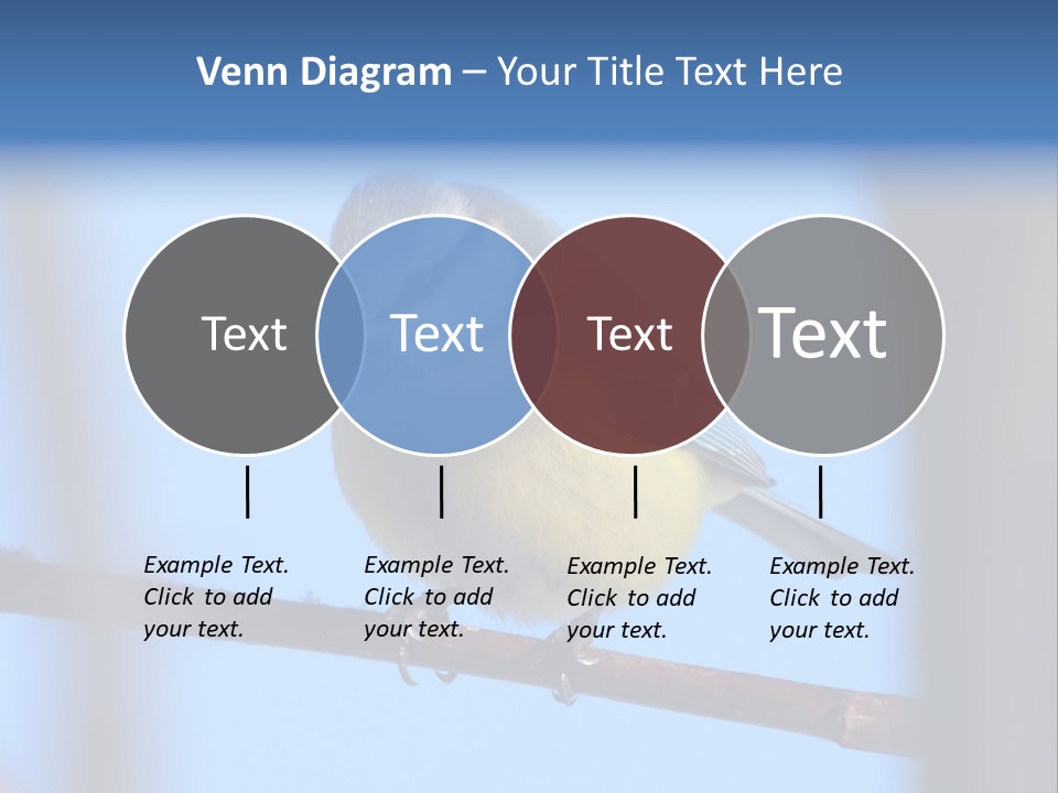 Object Great Small PowerPoint Template