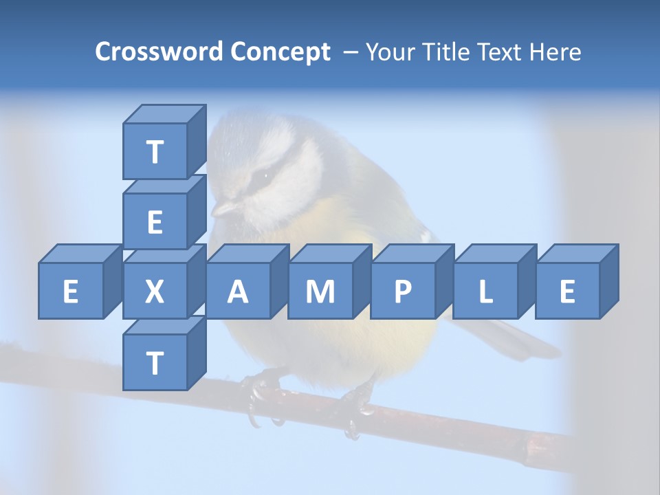 Object Great Small PowerPoint Template