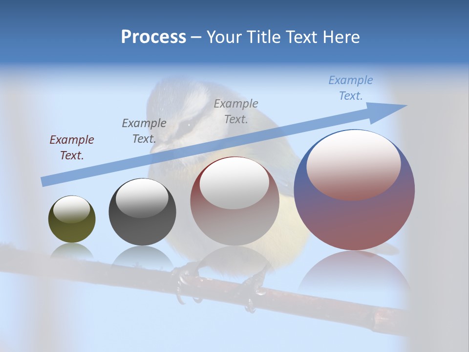 Object Great Small PowerPoint Template