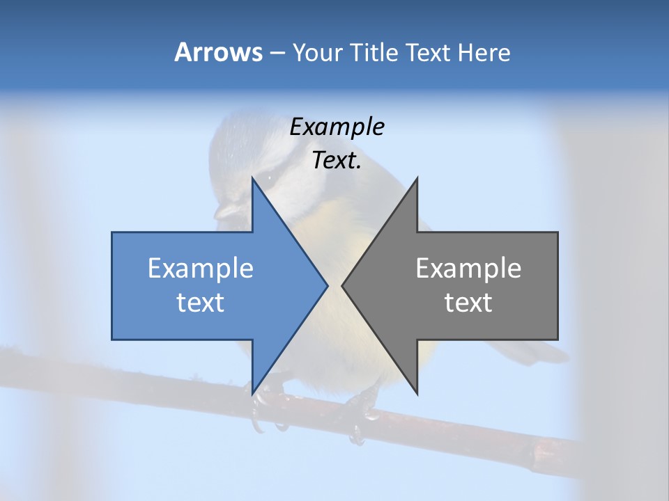 Object Great Small PowerPoint Template