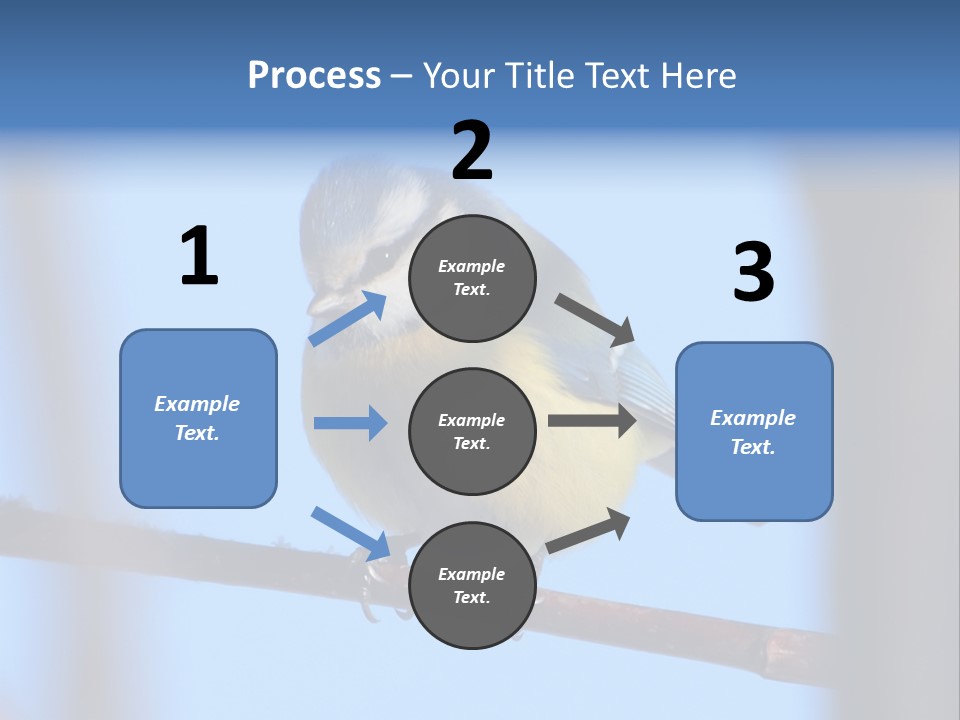 Object Great Small PowerPoint Template