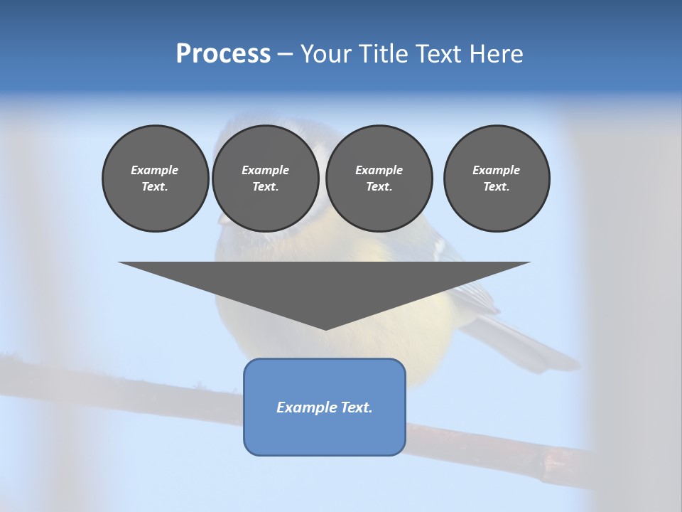 Object Great Small PowerPoint Template