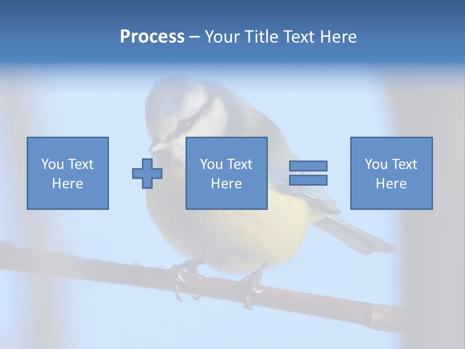 Object Great Small PowerPoint Template