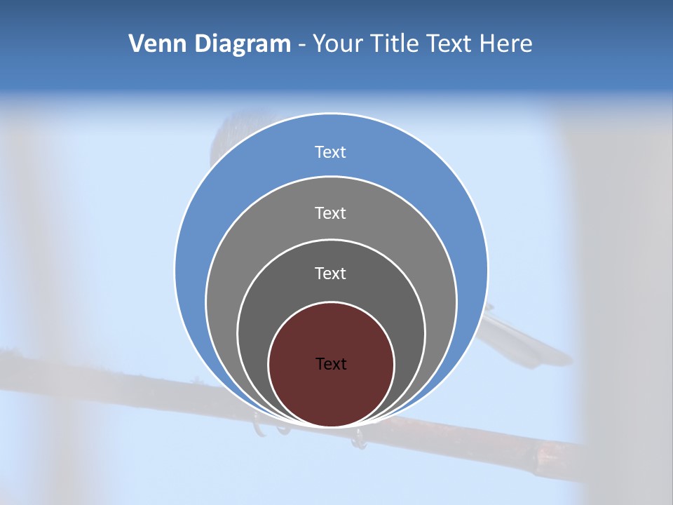 Object Great Small PowerPoint Template
